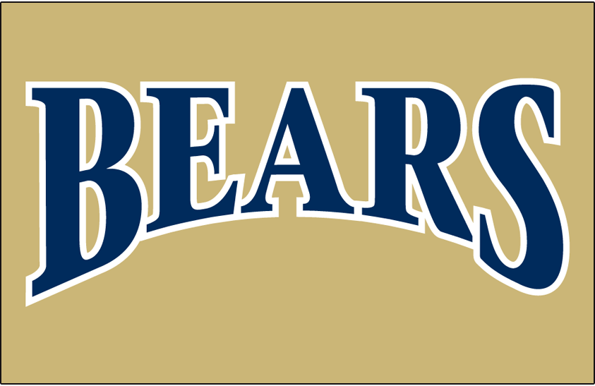 Northern Colorado Bears 2002-2005 Helmet Logo diy iron on heat transfer